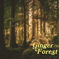 Ginger Forest von Pulp Fragrance
