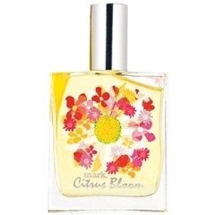 Citrus Bloom by mark.