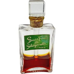 Succès Fou / Raving Success / Smash Hit by Elsa Schiaparelli