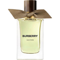 Oud Storm von Burberry