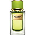 Velvet Mughetto von Dolce & Gabbana
