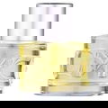 Mexx Woman (Eau de Toilette) von Mexx