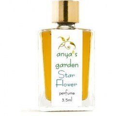 Star Flower by Anya's Garden