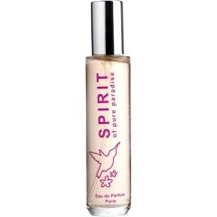Spirit of pure paradise by Spirit