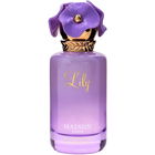 Lily von Maison Asrar