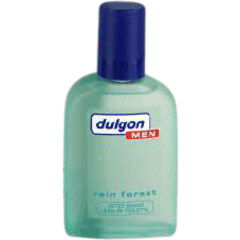 Rain Forest von Dulgon