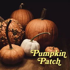 Pumpkin Patch by Pulp Fragrance