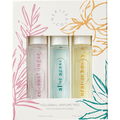 Aloe Agave von Mer-Sea & Co.