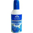 Fiordaliso Vivace von Giardino dei Sensi