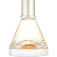 Ascent to Courage by Ascention
