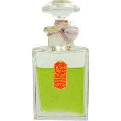 White Rose von Melba