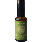 Understory von Lingua Planta