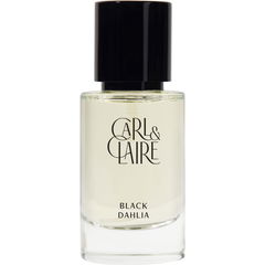 Black Dahlia / Black Orchid by Carl & Claire