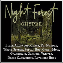 Night Forest by Lurker & Strange