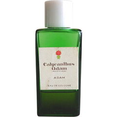Calycanthus (Eau de Cologne) by Adam