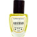 Havana by La Fleur by Livvy