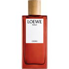 Solo Cedro by Loewe
