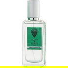 Verbena Absoluta von Acqua di Stresa