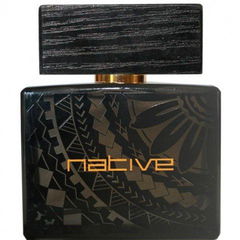 One Dream von Native Rituals