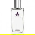 Vanilla Blackberry von Lavanila Laboratories