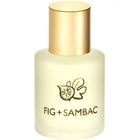 Fig + Sambac von Terranova
