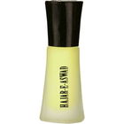 Hajar-E-Aswad von Al-Nuaim