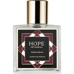 Narcissus by Hope Istanbul