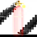 Aoud Sliver von Montale