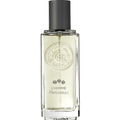 L'Homme Patchouli by Roger & Gallet