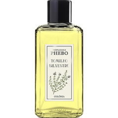 Tomilho Silvestre by Phebo