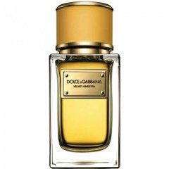Velvet Ginestra by Dolce & Gabbana