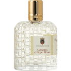 Canapa e Pepe Rosa by Bolgherello