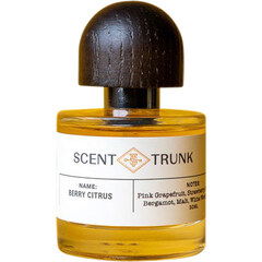 Berry Citrus von Scent Trunk