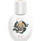 Aerapata von Siam 1928