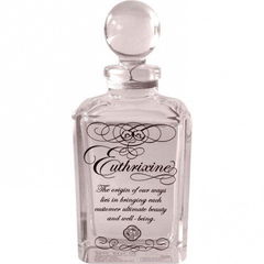 Euthrixine / 花椿 / Hanatsubaki (2008) von Shiseido