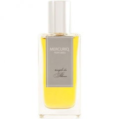 Temple du Silence von Mercurio Perfumes