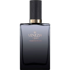 Grey Velvet von Venezia 1920