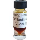 Cambodihisattva LTD 1990 von The Rising Phoenix Perfumery