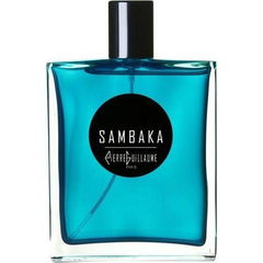 Sambaka by Pierre Guillaume