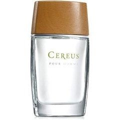Pour Homme N° 4 by Cereus
