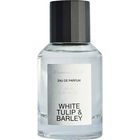 White Tulip & Barley von Massimo Dutti