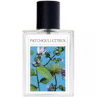 Patchouli Citrus by The 7 Virtues