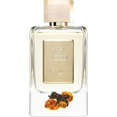Agarwood Amber von Azha / أزهى