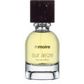 Sur Arize von Mmoire