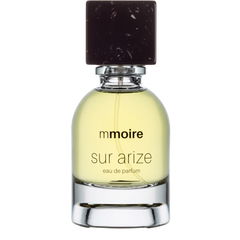 Sur Arize von Mmoire