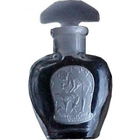 White Rose by Bacorn