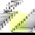 Scent 32 von Cognoscenti