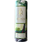 Midnight Magnolia (Solid Eau de Parfum) by Othús