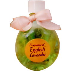 English Lavender by Lownds Pateman