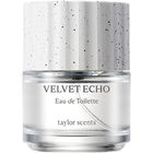 Velvet Echo / 벨벳에코 by Taylor Scents
